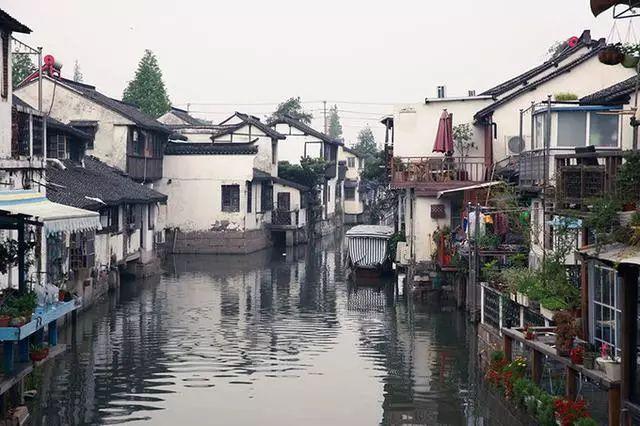 救援淘气的小狗